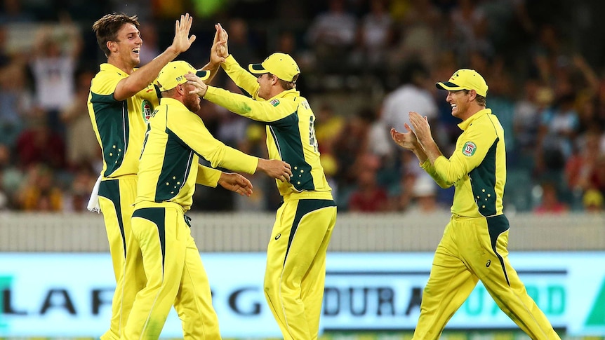 Canberra victory ... Australia celebrates the fall of an Indian wicket at Manuka Oval
