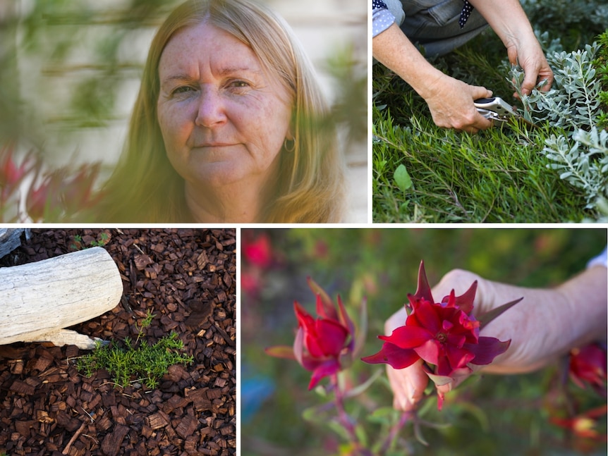 A collage showing a middle aged woman and parts of her beautiful garden.
