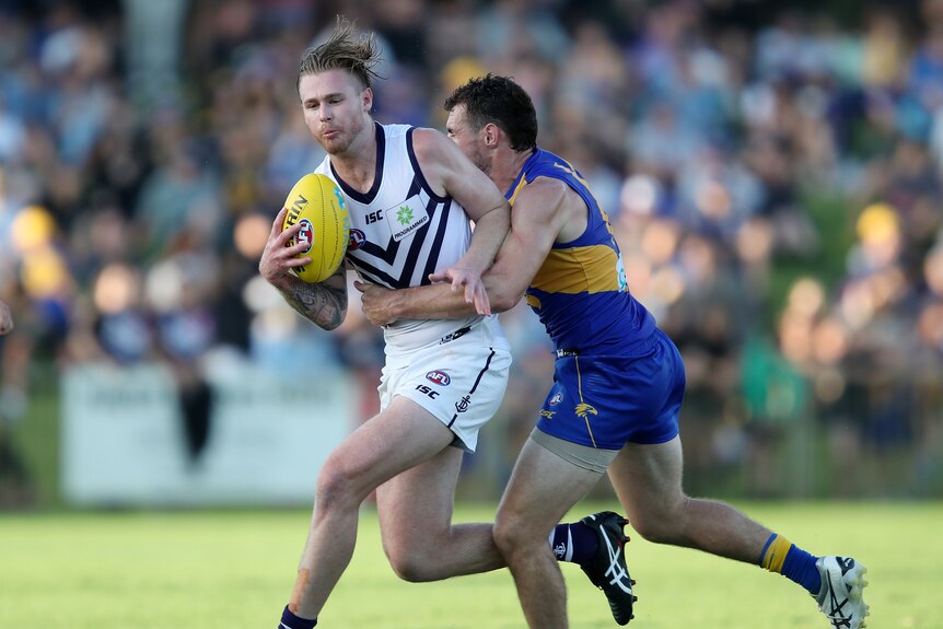 Fremantle DOckers player Cam McCarthy takes a mark