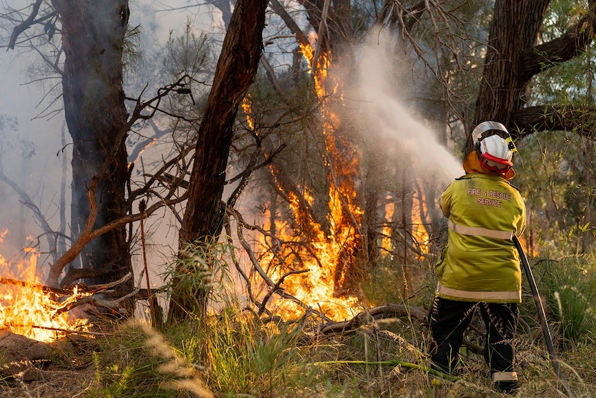 Firefighters stand amongst burning bushland to extinguish a fire