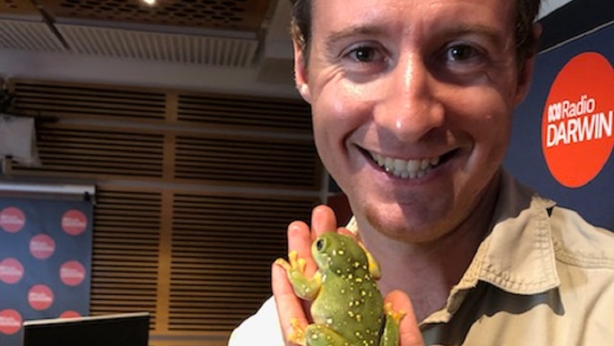 The Territory Wildlife Parks' Simon Ferguson in the ABC Radio Darwin studio holding a Magnificent Tree Frog in his hand.