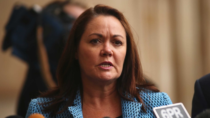 Liza Harvey speaks at a press conference in front of Parliament House.