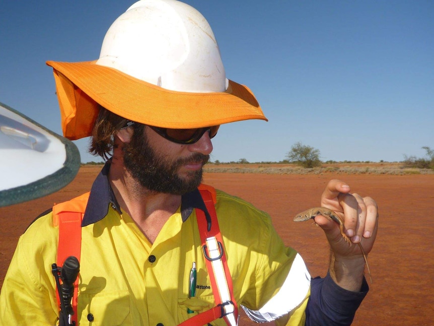 A hard-hat and hi-vis clad zoologist with a lizard on his thumb.