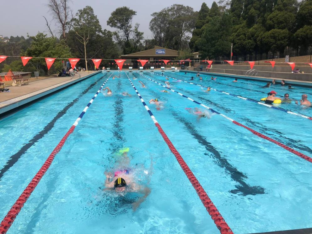 Swimmers do laps in an outdoor pool.