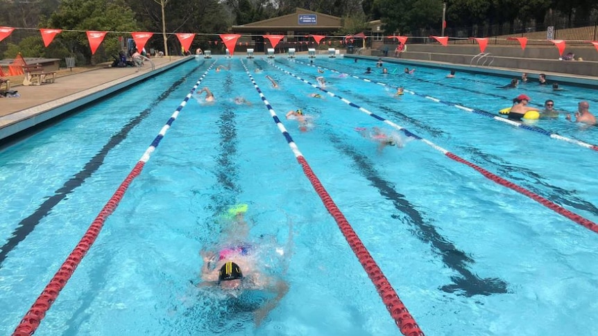 Swimmers do laps in an outdoor pool.