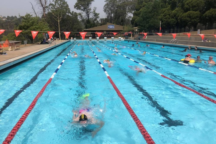 Swimmers do laps in an outdoor pool.