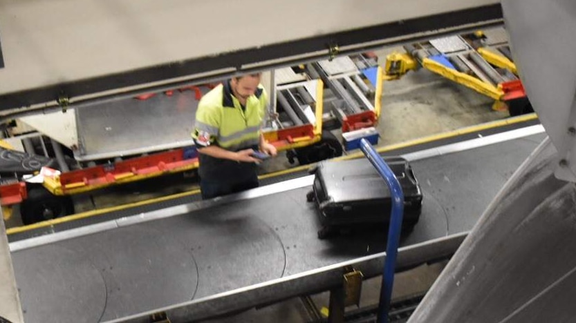 A bagger handler at work at Melbourne Airport with a piece of luggage on a conveyer belt.