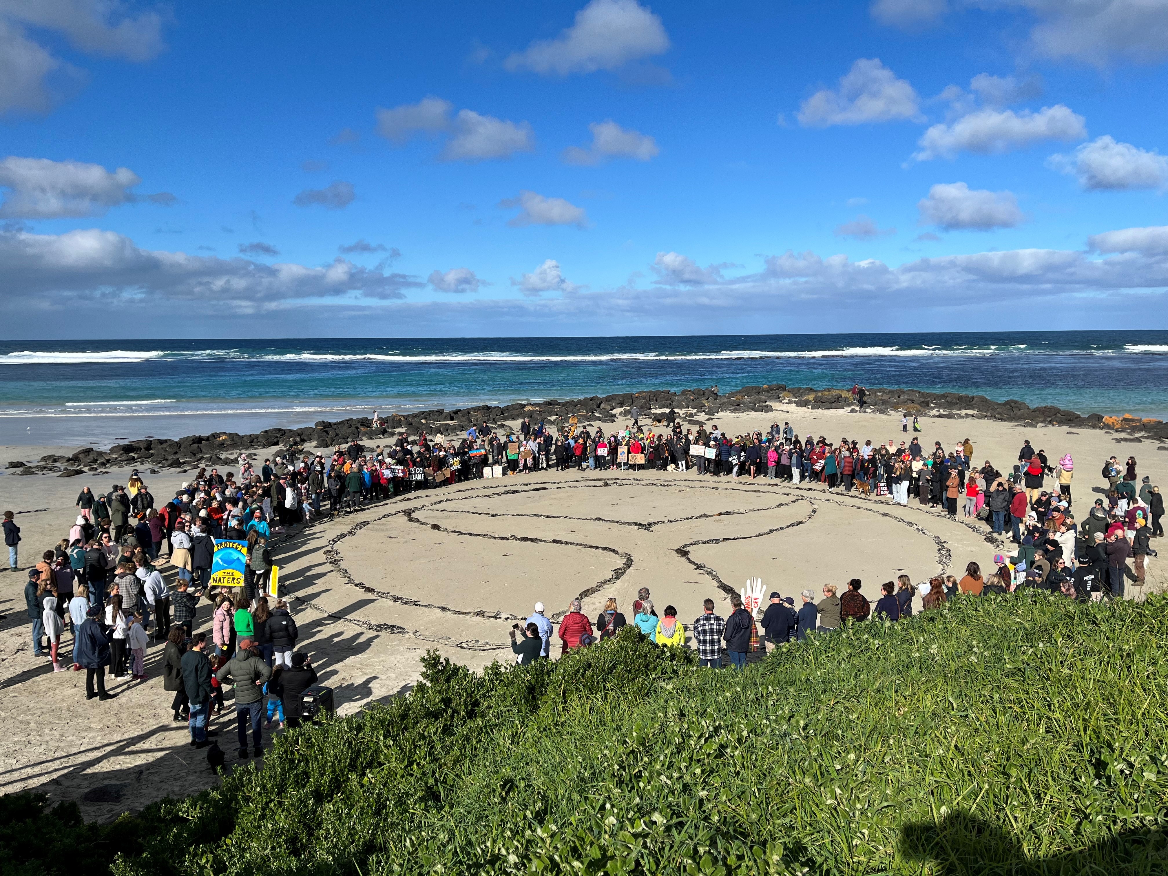 Hundreds of people form a circle around an image of a whale tale made of seaweed on the beach