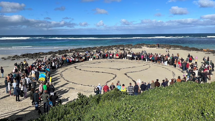Hundreds of people form a circle around an image of a whale tale made of seaweed on the beach
