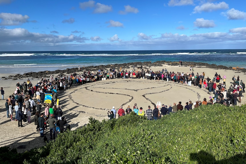 Hundreds of people form a circle around an image of a whale tale made of seaweed on the beach