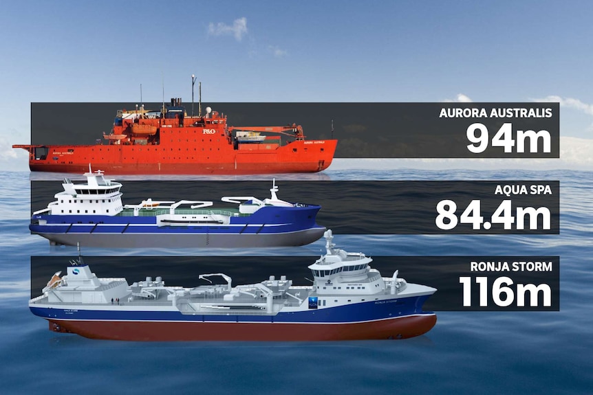 Size comparison graphic between Aurora Australis and salmon processing ships.