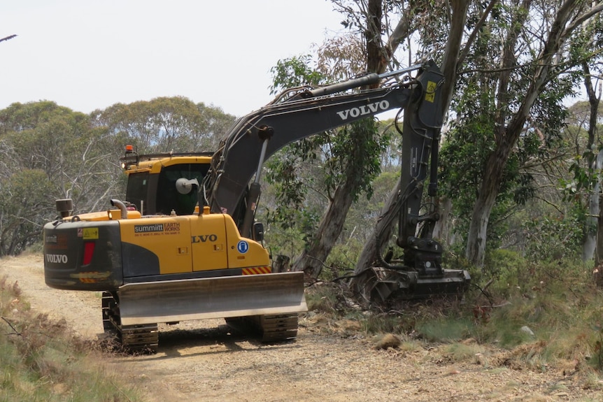 A yellow excavator clears tree branches from a fire trail.