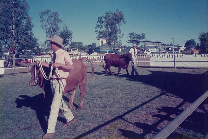 an old photo of a man with a bull