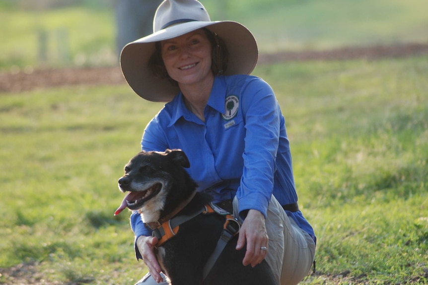 Kuna the scent-detection dog gets ready to sniff out the endangered northern quoll, aided by her trainer Amanda Hancock.