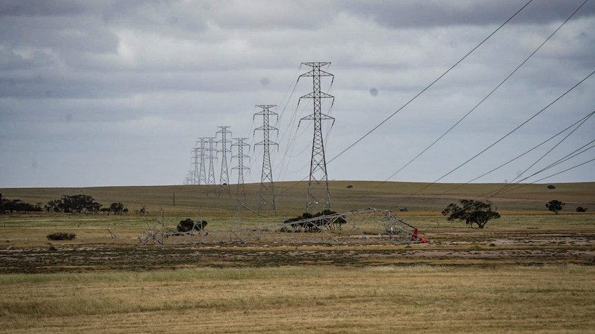 A toppled transmission tower just outside Tailem Bend.