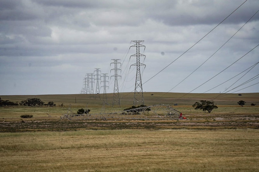 A toppled transmission tower just outside Tailem Bend.