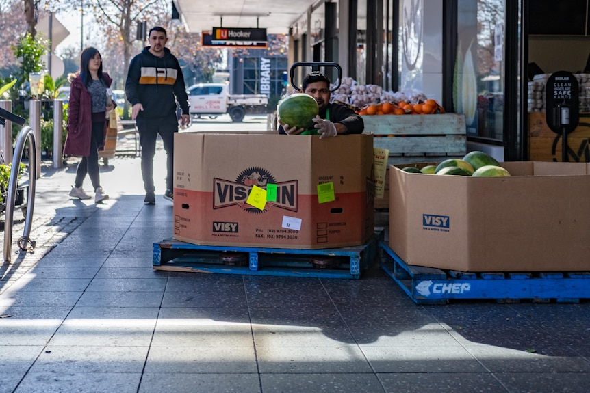 A man pokes his head out of a bix of watermelons on the street outside a grocer. 