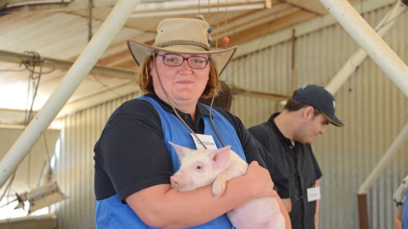 A woman wearing an apron and sunhat smiles as she holds a piglet in her arms as she stands next to a pen inside a shed.