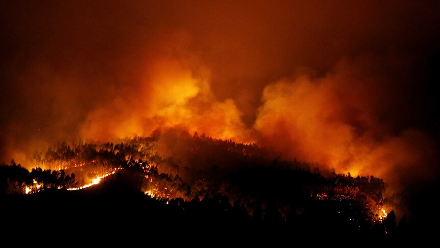 The night sky turns orange as forest fires rage.