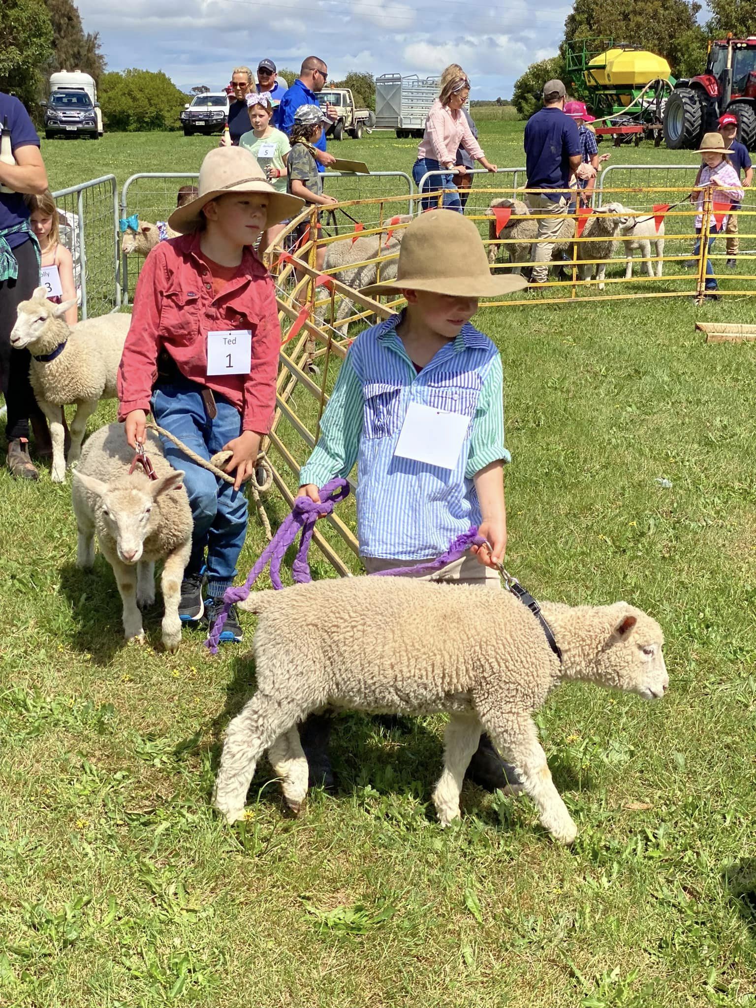 On Farm Day, Kongorong Primary School students show handreared lambs, march in pet parade ABC