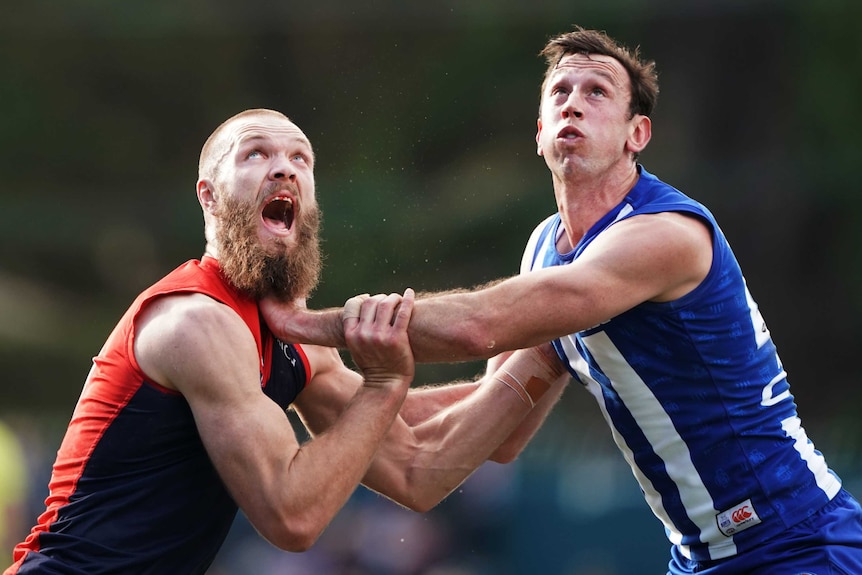 A Melbourne AFL players pushes against a North Melbourne opponent as they look to the sky waiting for the ball to be thrown in.