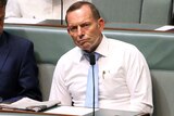 Tony Abbott on the backbench, early 2016.