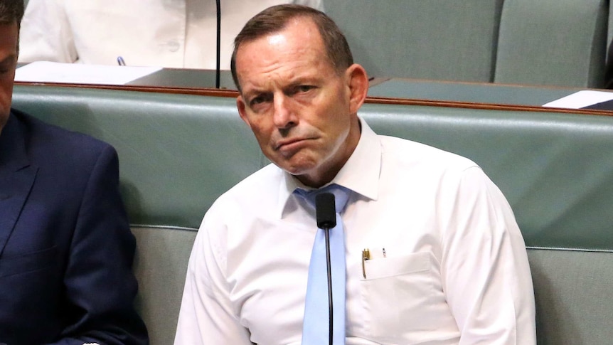 Tony Abbott on the backbench, early 2016.