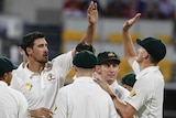 Mitchell Starc is congratulated after dismissing Sami Aslam