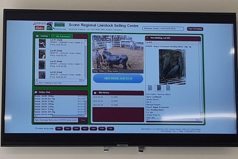 A big screen on a wall at the Scone saleyards with information about cattle.