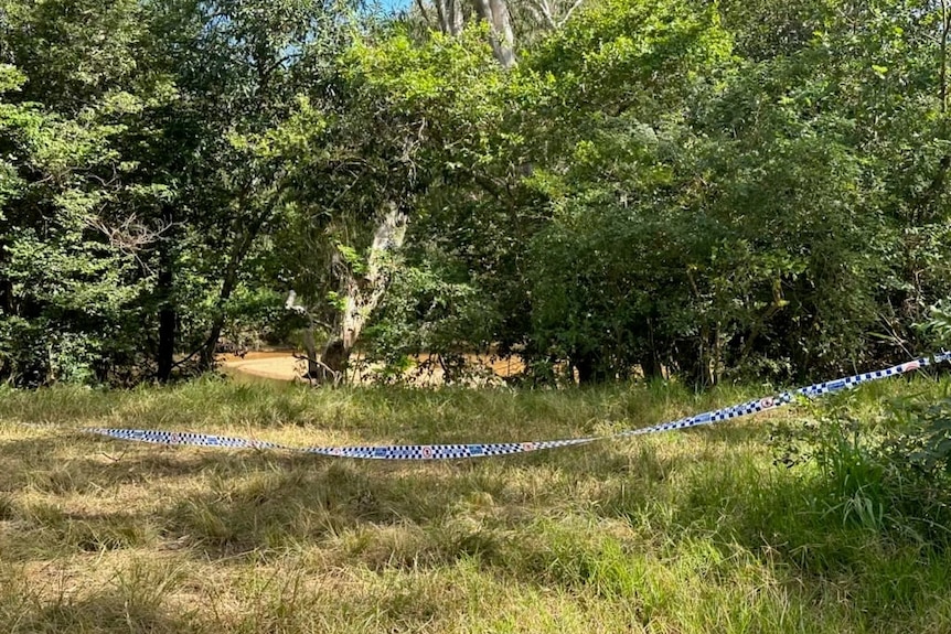 greenery cordoned off with police tape 