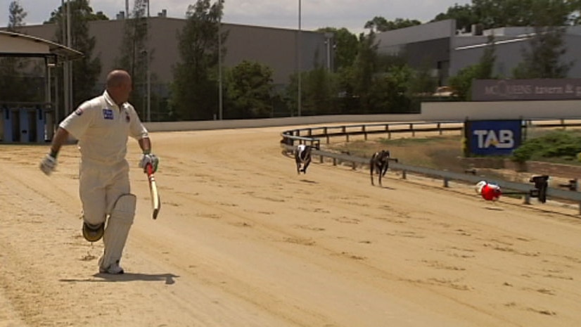 Retired cricketer Darren Lehmann races greyhounds.