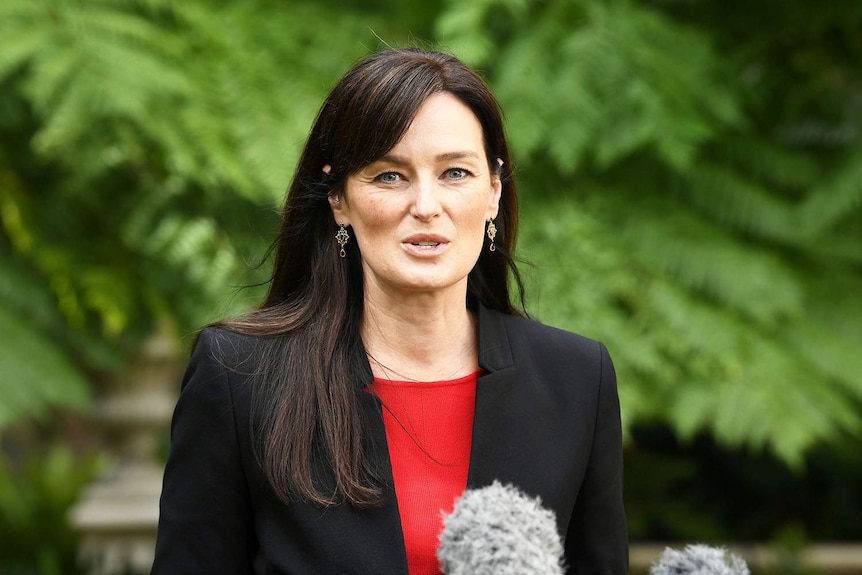 a woman speaking at a press conference