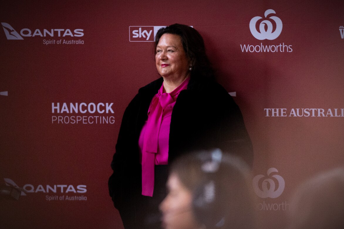 Lawyers For Gina Rinehart's Children Call On Her To Take Stand In ...