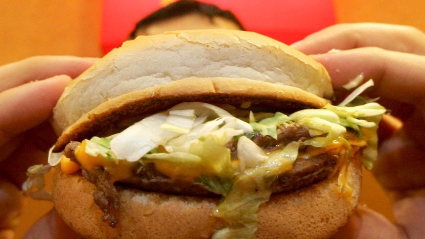 A young boy holds a hamburger.