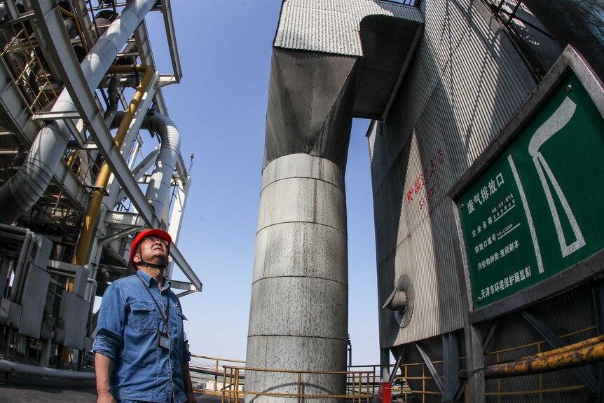 The 'clean coal' Tianjin Integrated Gasification Combined Cycle Power Plant Project.