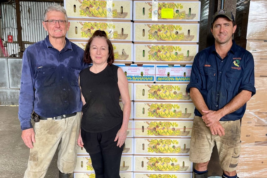 Two men and a woman standing in front of banana packing boxes.