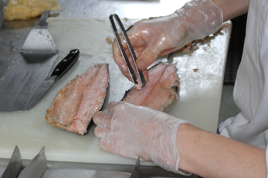 Worker picks out pin bones from Rainbow Trout