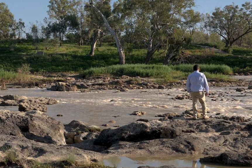 Man stands with his back turned facing the fish traps on the Darling River