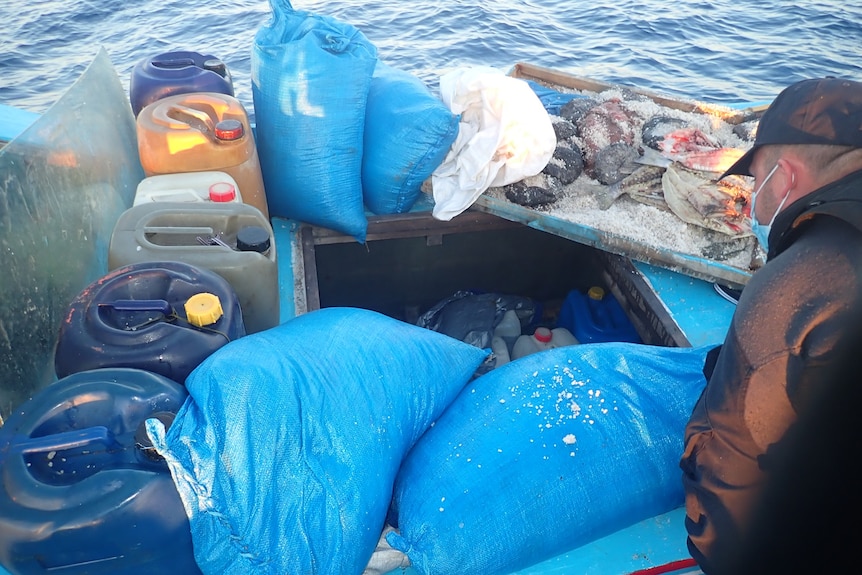 A man looks at fish and equipment on a boat.