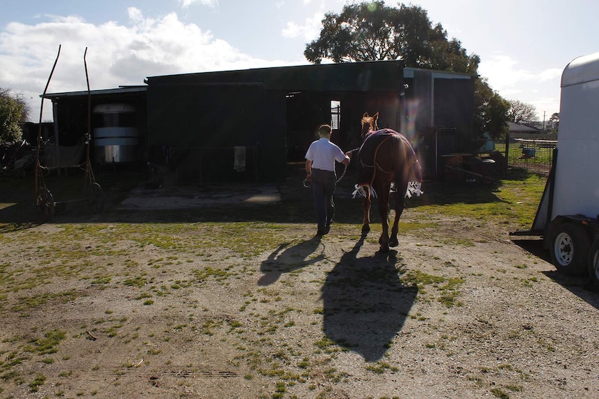 A man walks a horse to a stable.