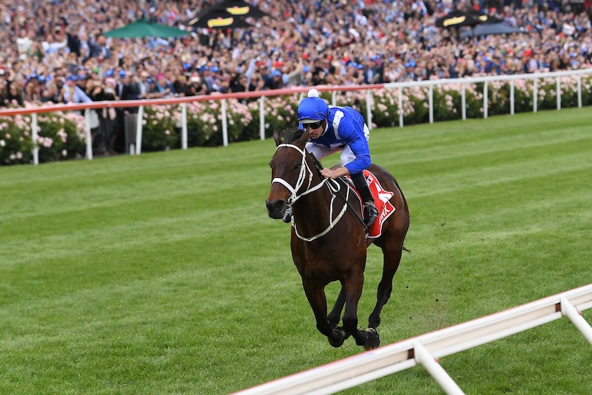 Jockey Hugh Bowman rides Winx to victory in the Cox Plate at Moonee Valley on October 27, 2018.