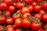 Whitsunday Mayor Mike Brunker says people all over Australia will be paying a higher price for tomatoes.