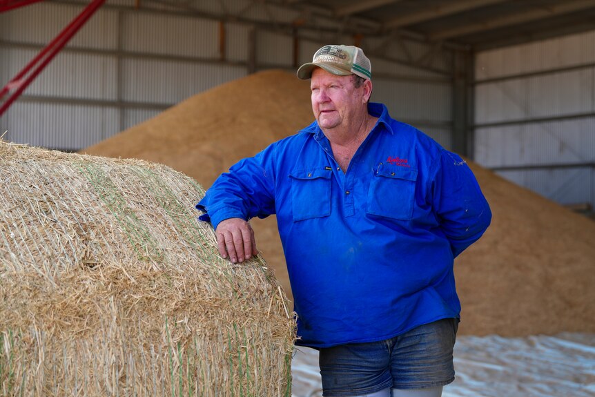 A white male farmer wearing a blue shirt standing in front of a pile of oats
