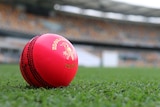 Pink cricket ball at the Gabba ahead of the venue's first day night Test