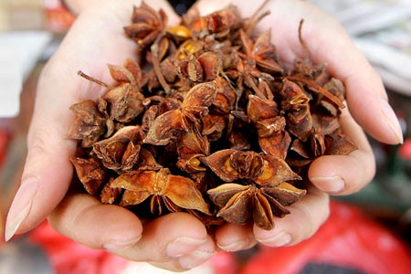 A handful of star anise