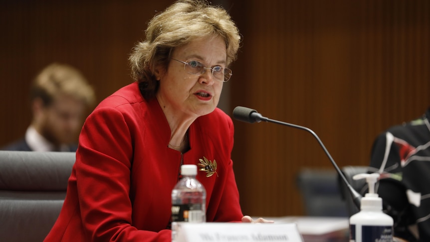 Frances Adamson speaks into a microphone while at Parliament House