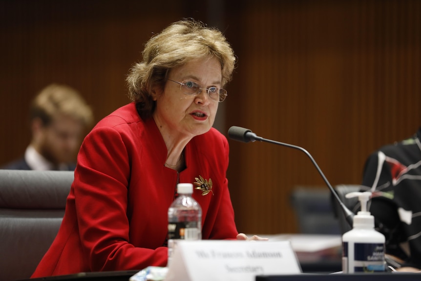 Frances Adamson speaks into a microphone while at Parliament House