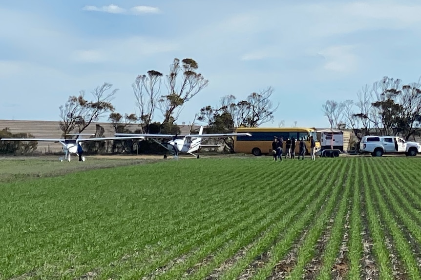 Green wheat crop in foreground, two planes, cars, school bus in distant background