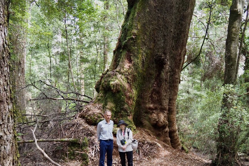 Margaret Atwood and Bob Brown in a Tasmanian forest.