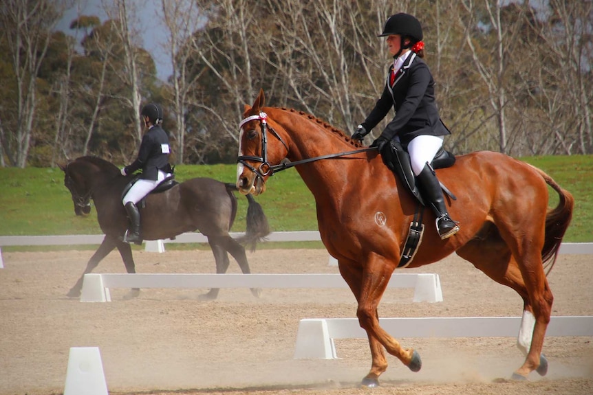 Equestrian competitors on horseback.